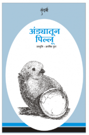 From Egg To Chick By Arvind Gupta