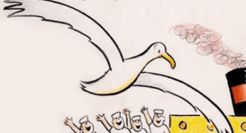 Samudri Seagull Albert By Ashwini Barve